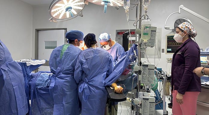 Madre rarámuri dona vida a su hija: Realizan con éxito trasplante renal en el Hospital Central