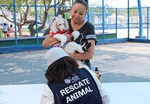 Municipio acercará servicios gratuitos para perros y gatos en colonia Cerro de la Cruz