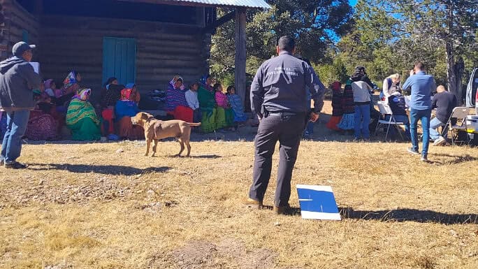 Despliega AEI operativo durante entrega de apoyos en La Hierbabuena, Balleza