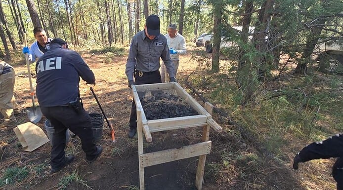 Localizan fragmentos óseos y evidencia en rastreo efectuado en Madera