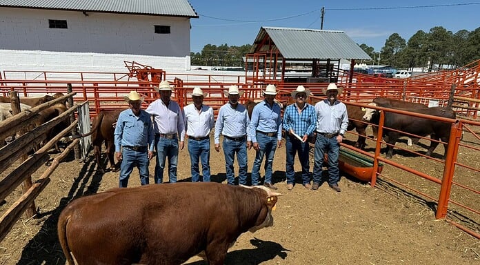 Invierte Gobierno del Estado más de 10 mdp en el mejoramiento genético del ganado
