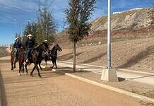 Retuvo Gobierno Municipal 79 animales mostrencos en vialidades durante 2025