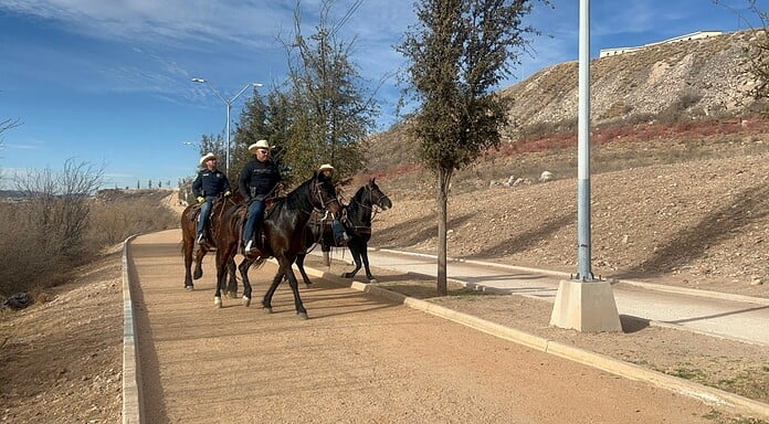 Retuvo Gobierno Municipal 79 animales mostrencos en vialidades durante 2025