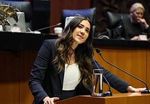 Criticó senadora Paloma Sánchez leyes impuestas por Morena