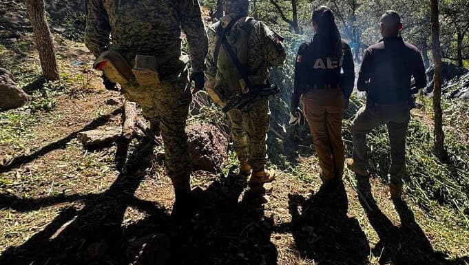 Aseguró AEI Zona Sur más de media tonelada de narcóticos en noviembre