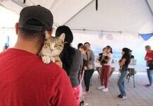 Invita Municipio a reflexionar antes de regalar un animal de compañía en Navidad