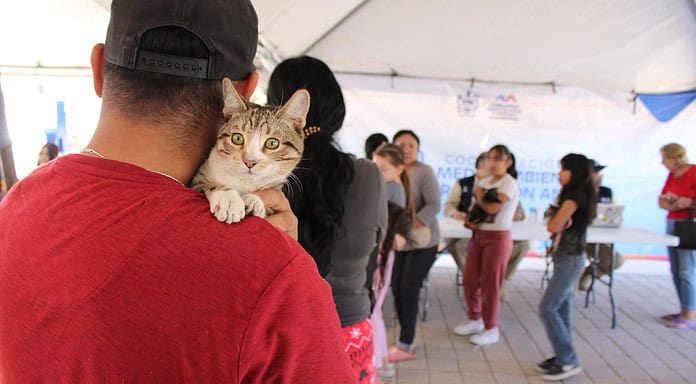 Invita Municipio a reflexionar antes de regalar un animal de compañía en Navidad