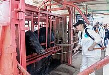 Fortalece Gobierno del Estado la sanidad agropecuaria en la entidad