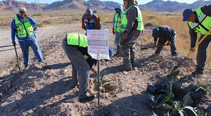 Da Municipio seguimiento a las acciones ambientales y climáticas de la ciudad