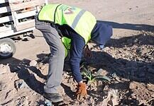 Un éxito primera Jornada de Reforestación del Río Sacramento: Municipio