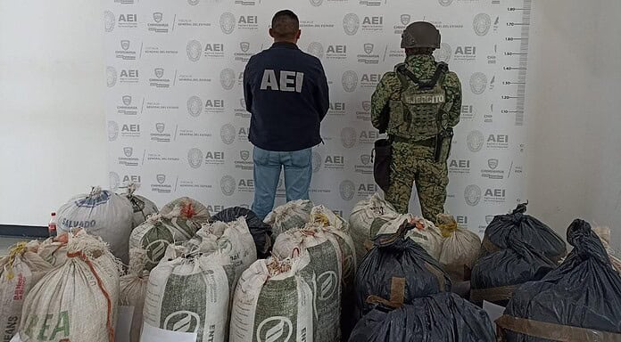 Encuentra AEI y SEDENA 200 kilos de mariguana en brecha de Urique