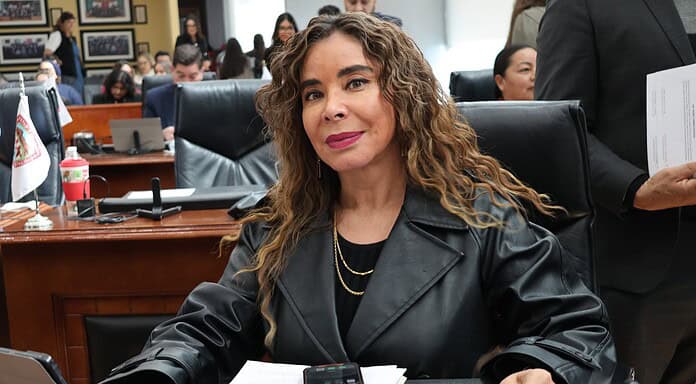 Acertado el decreto que termina con la nacionalización de autos “chocolate”: María Antonieta