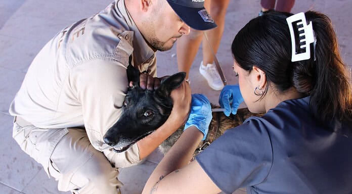 Llevará Municipio “Megapatio de mi Casa” a colonias Campesina Nueva y Alfredo Chávez