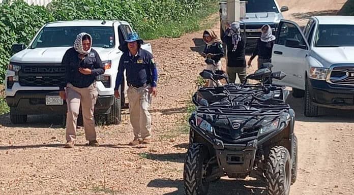 Continua FEM rastreos para la búsqueda de personas con reporte de desaparición