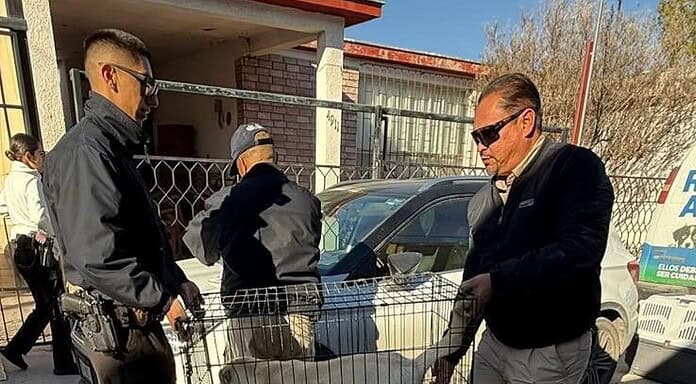 Asegura Policía Municipal a siete caninos por presunta omisión de cuidados en Las Granjas