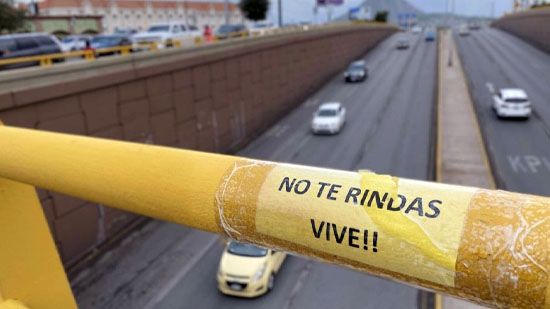 suicidio chihuahua
