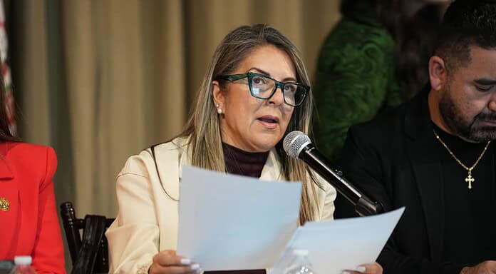 Diputada Rosana Díaz propone facilitar el acceso ciudadano al plebiscito