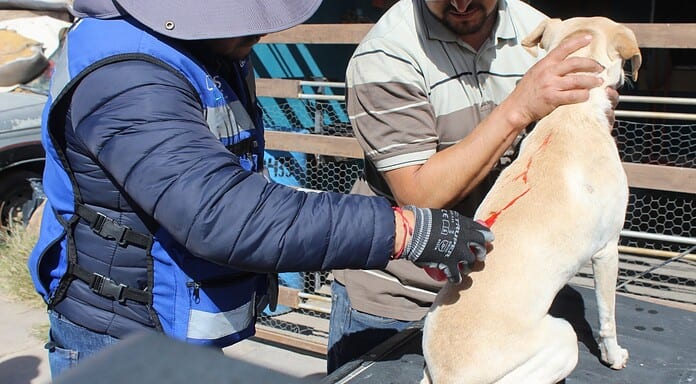 Fortaleció IMPAS programa “Megapatio de mi casa” en Praderas del Sur para beneficiar a más familias