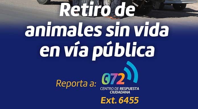 Ofrece Gobierno Municipal servicio de retiro de animales sin vida en la vía pública