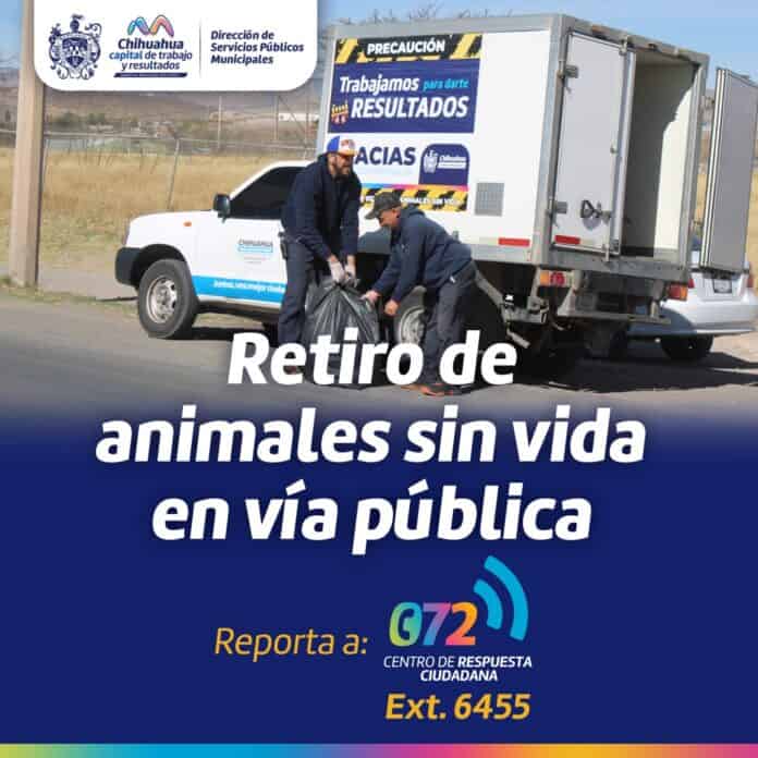 retiran animales