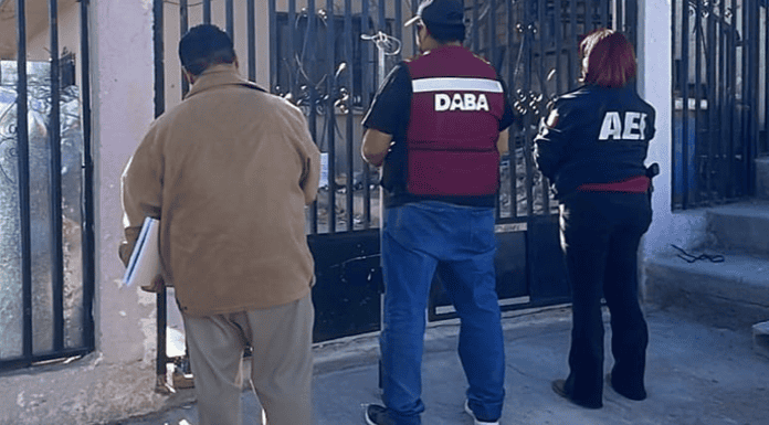 Durante un cateo, rescata AEI a tres caninos maltratados en la colonia San Antonio