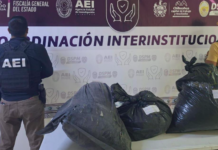 Asegura AEI 34 kilogramos de mariguana en la carretera a Aldama