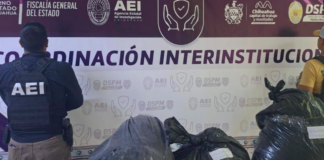 Asegura AEI 34 kilogramos de mariguana en la carretera a Aldama