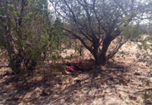 Localiza FGE Occidente osamenta en brecha de Barraganes