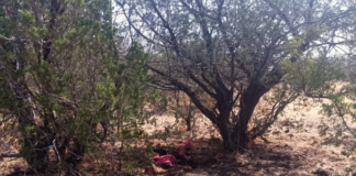 Localiza FGE Occidente osamenta en brecha de Barraganes