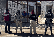 En el mes de febrero, aseguro FGE Norte nueve caninos en situación de maltrato en Cd. Juárez