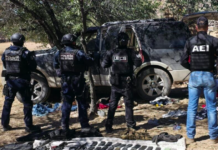 Aseguran en Operativo conjunto 6 armas de fuego, 5 vehículos, cartuchos y droga