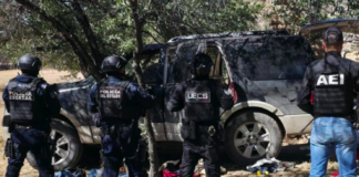 Aseguran en Operativo conjunto 6 armas de fuego, 5 vehículos, cartuchos y droga