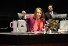 Presidenta del Senado de la República reitera llamado para elevar el debate parlamentario