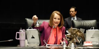 Presidenta del Senado de la República reitera llamado para elevar el debate parlamentario