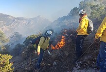 Llama SDR a reforzar medidas de prevención contra incendios forestales