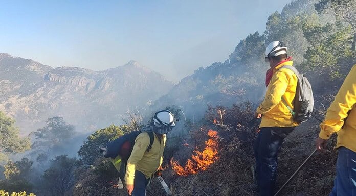 Llama SDR a reforzar medidas de prevención contra incendios forestales