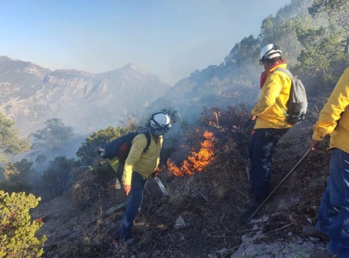 forestales prevencion
