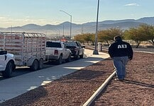 Realizan operativo en búsqueda de ganado que invada vías públicas