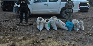 Asegura Operativo una pick up y 7 costales con 44 kilogramos de mariguana