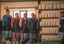 Mujeres indígenas del Programa Sembrando Vida en Chihuahua crean cooperativa de pinole