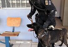 Supervisa Policía Municipal planteles escolares para fortalecer la seguridad de estudiantes