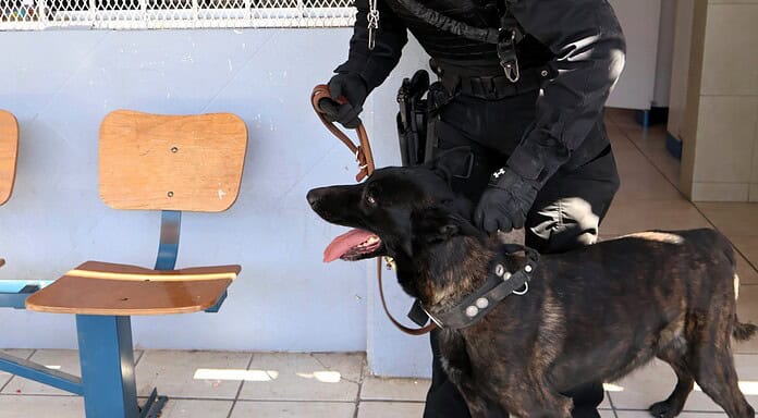 Supervisa Policía Municipal planteles escolares para fortalecer la seguridad de estudiantes