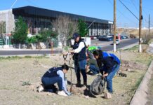 Reforesta Municipio en tres zonas de la ciudad para cuidar el medio ambiente