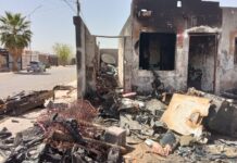 Atendió Desarrollo Urbano del Municipio 103 reportes ambientales y de obra en la ciudad