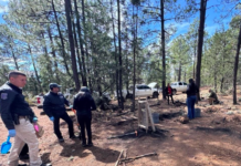 Localiza Fiscalía Zona Sur restos óseos durante rastreo en carretera a Guadalupe y Calvo