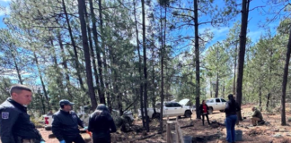 Localiza Fiscalía Zona Sur restos óseos durante rastreo en carretera a Guadalupe y Calvo