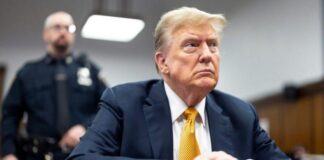 “Cobardes”; arremetió Trump contra la OTAN