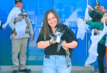 Promueve Municipio adopción de perritos: pueden ser tu compañía y ayuda emocional