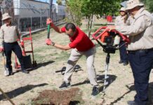 Impulsa Municipio acciones ambientales y de protección animal con empresa PHINIA