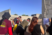 En diversos cateos, aseguró FGE Norte 17 animales en situación de maltrato